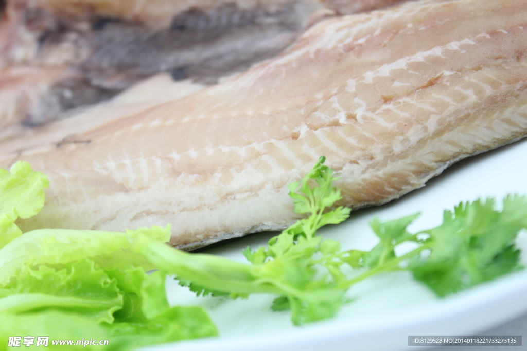 六線魚