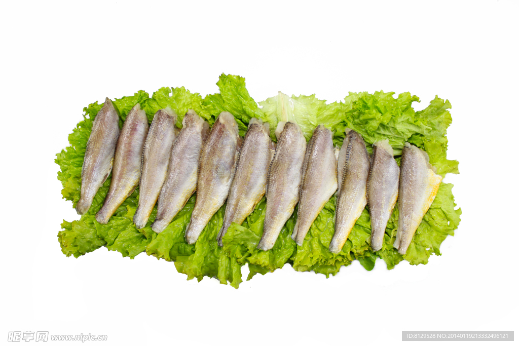 黃花魚