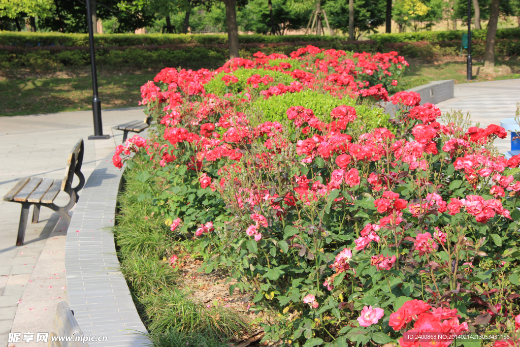 上海廣蘭公園
