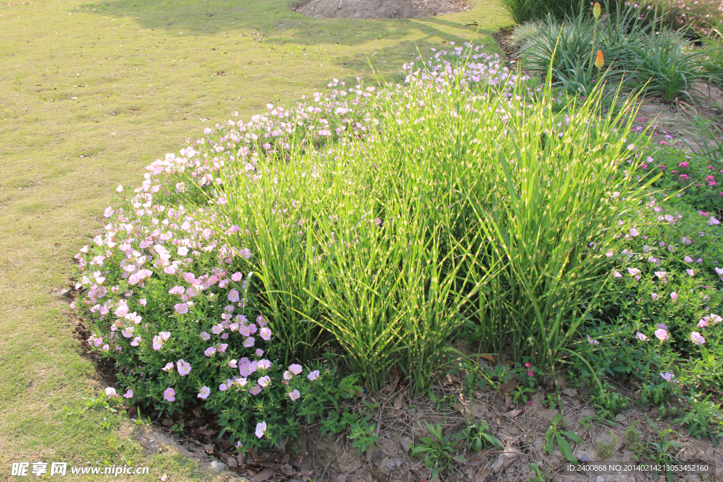 上海廣蘭公園
