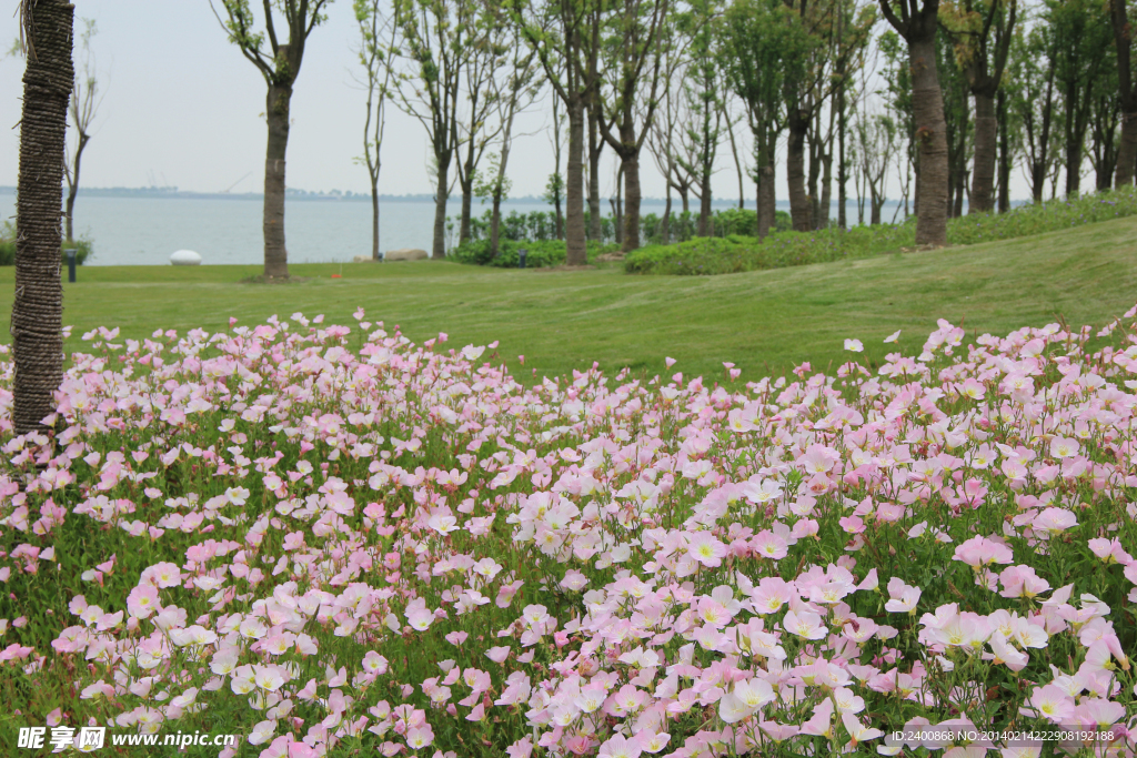 花境