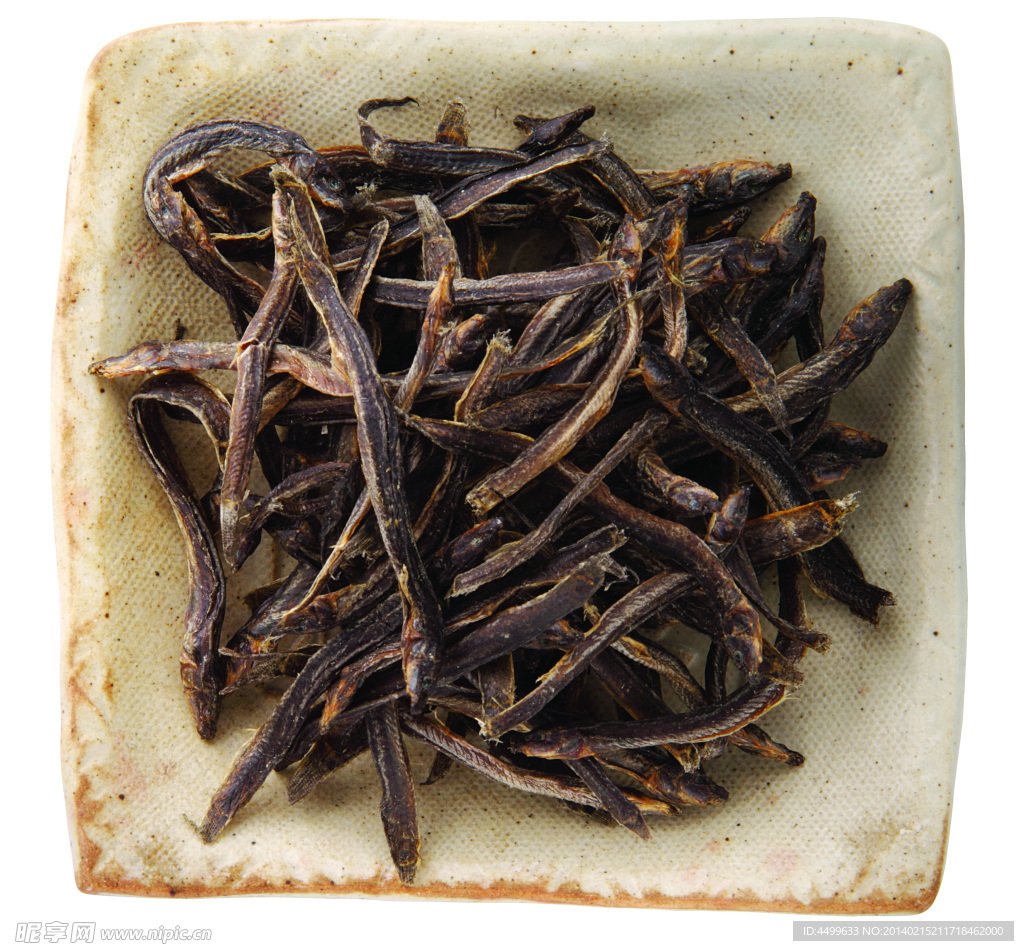 泥鰍魚(yú)