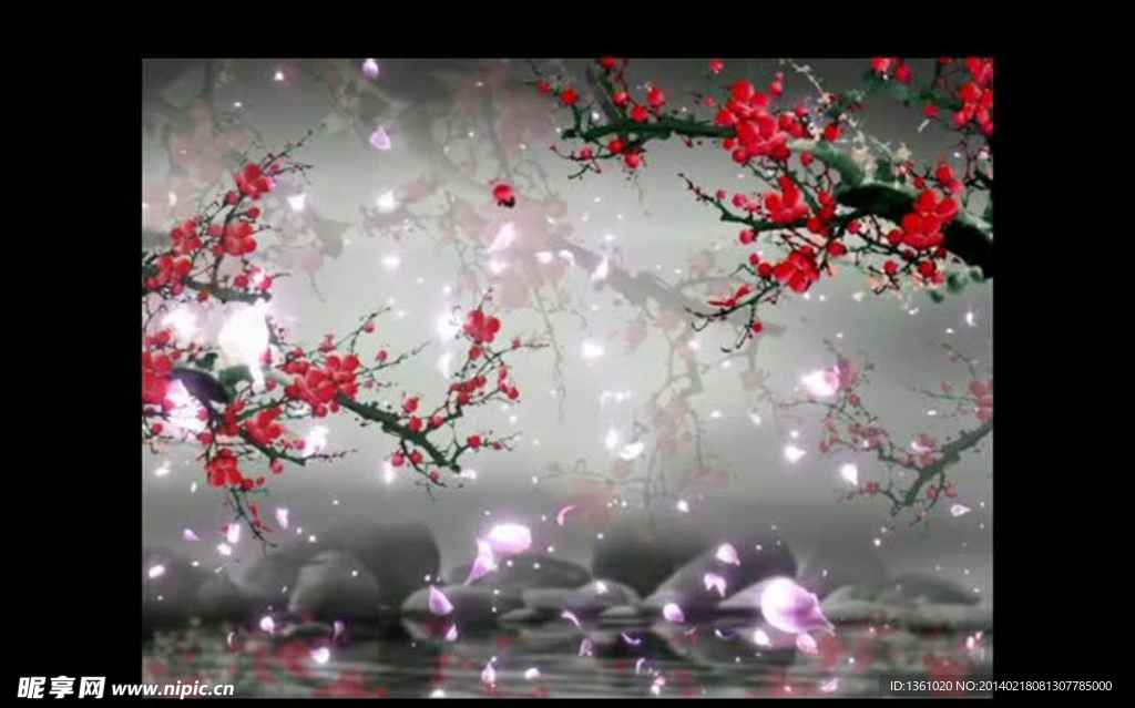 花朵花瓣飄落視頻素材