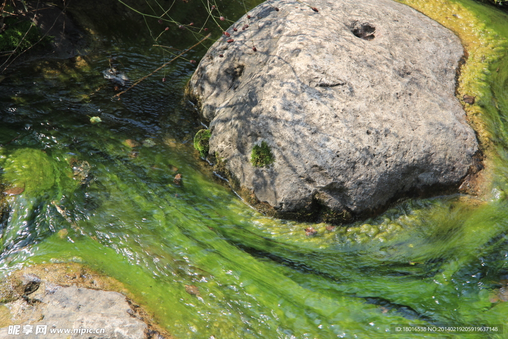 綠水盤石