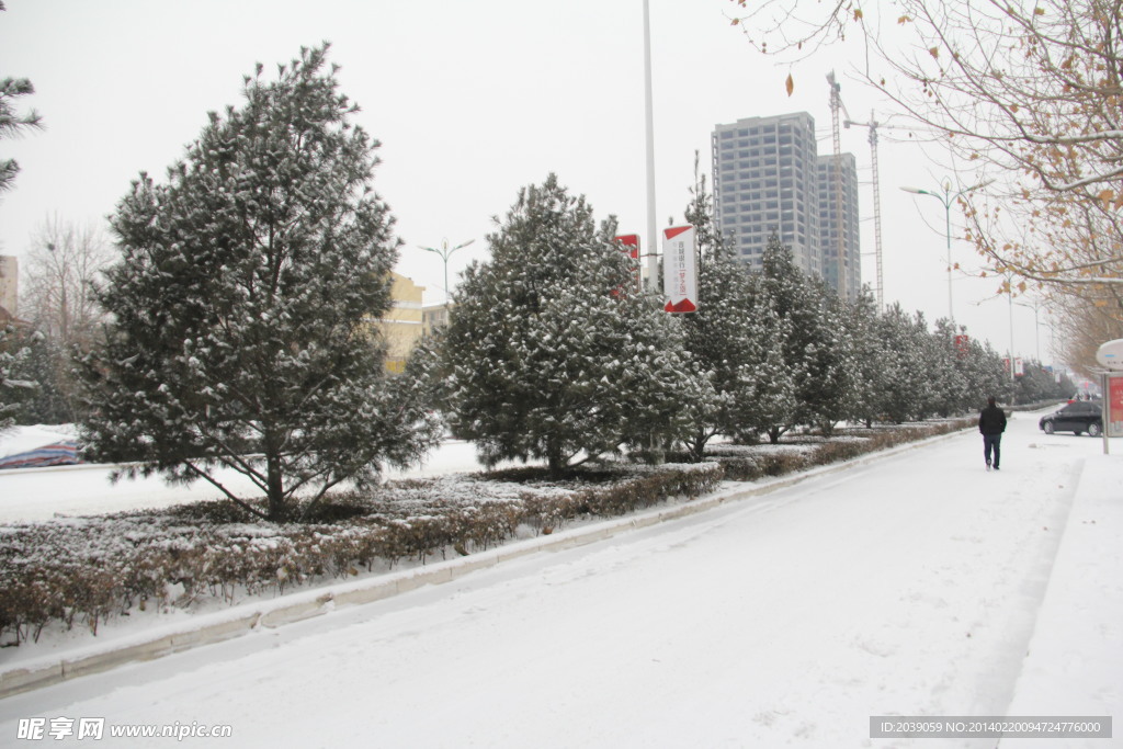 晉城鳳臺街雪景