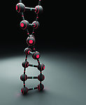 DNA螺旋体