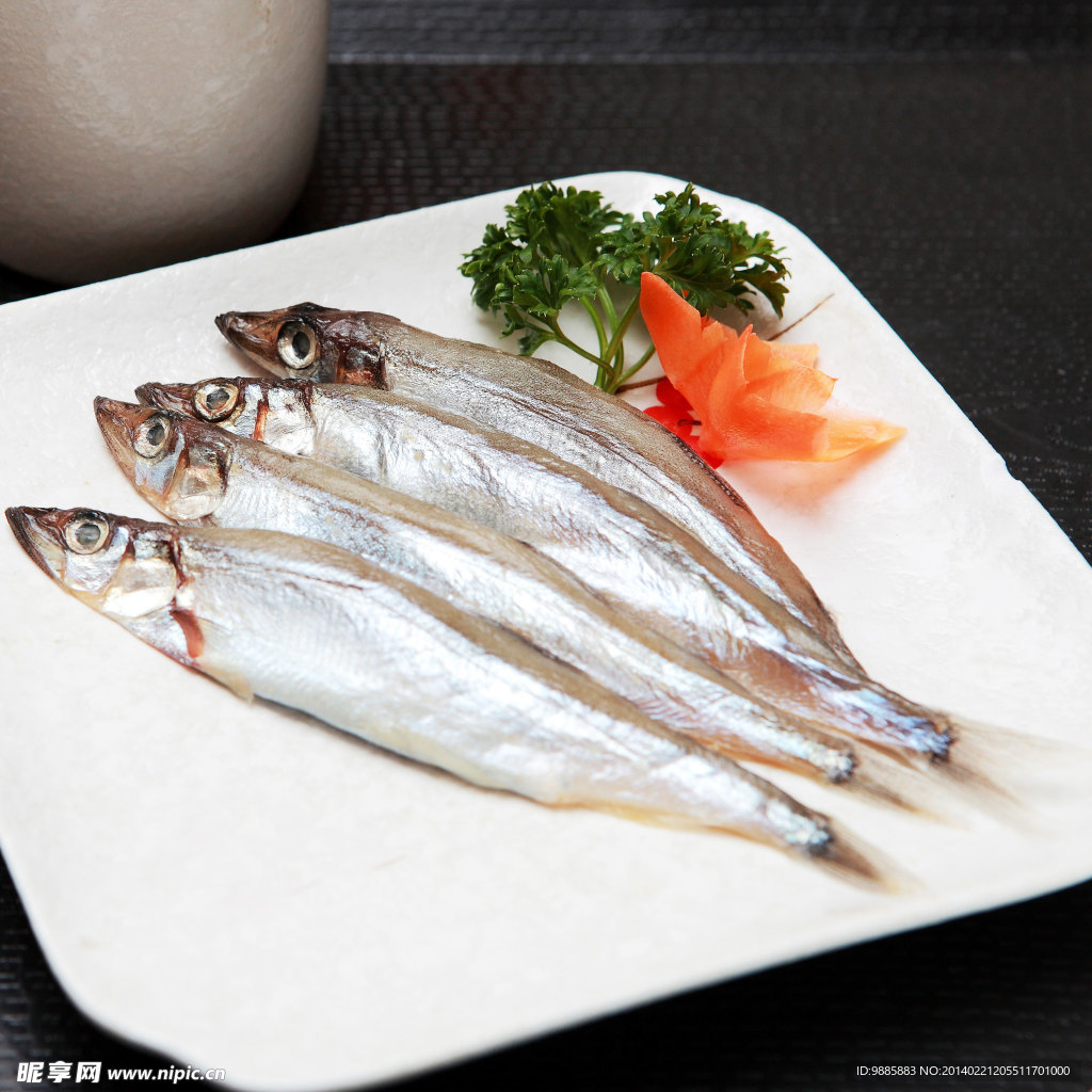 海魚