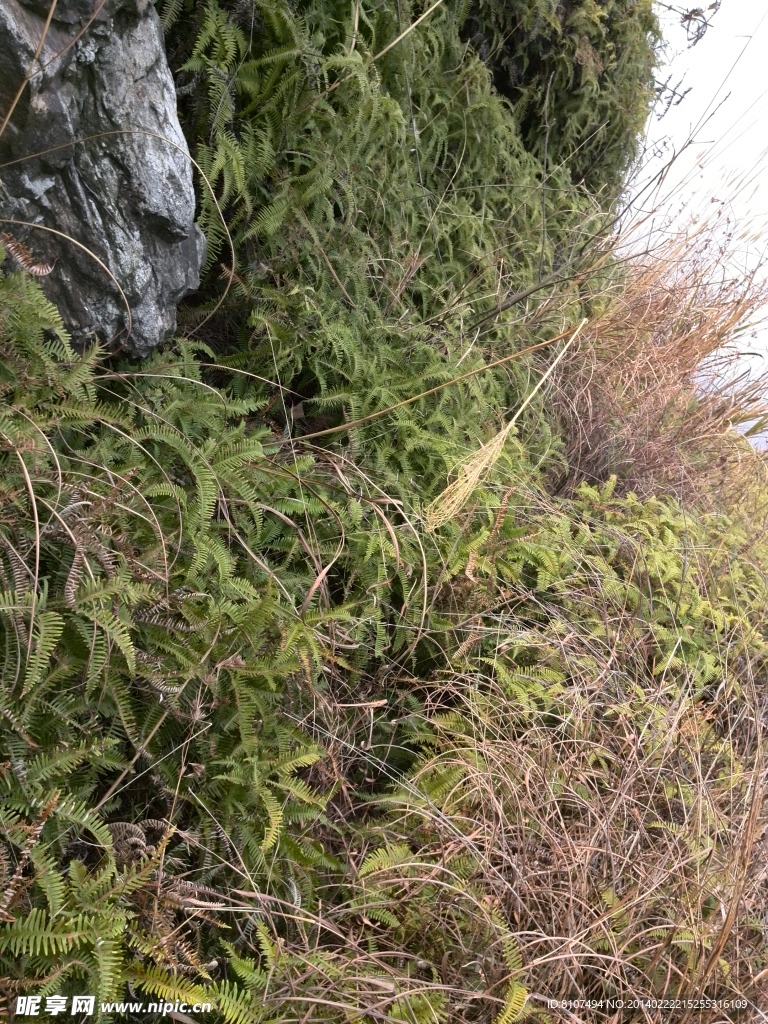 山邊
