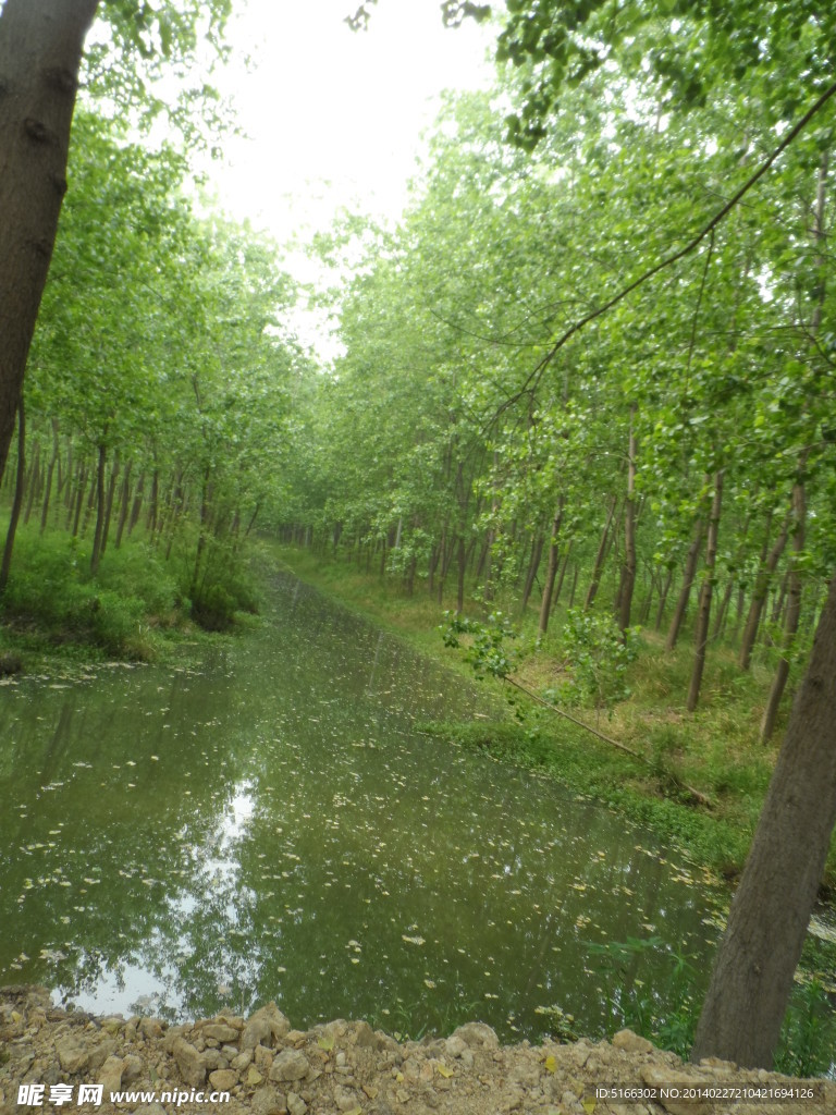 小林小河