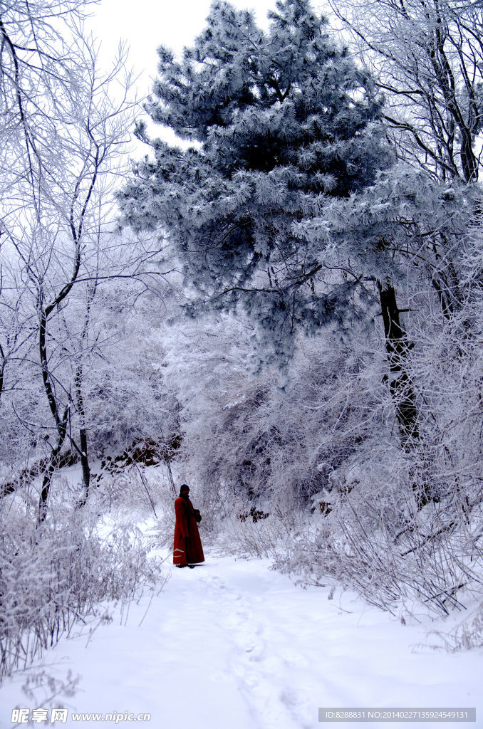 澠池韶山雪景
