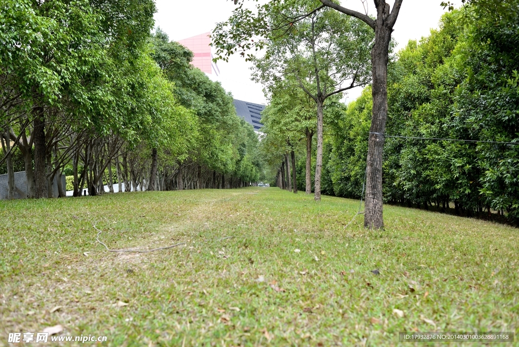 深圳風(fēng)景