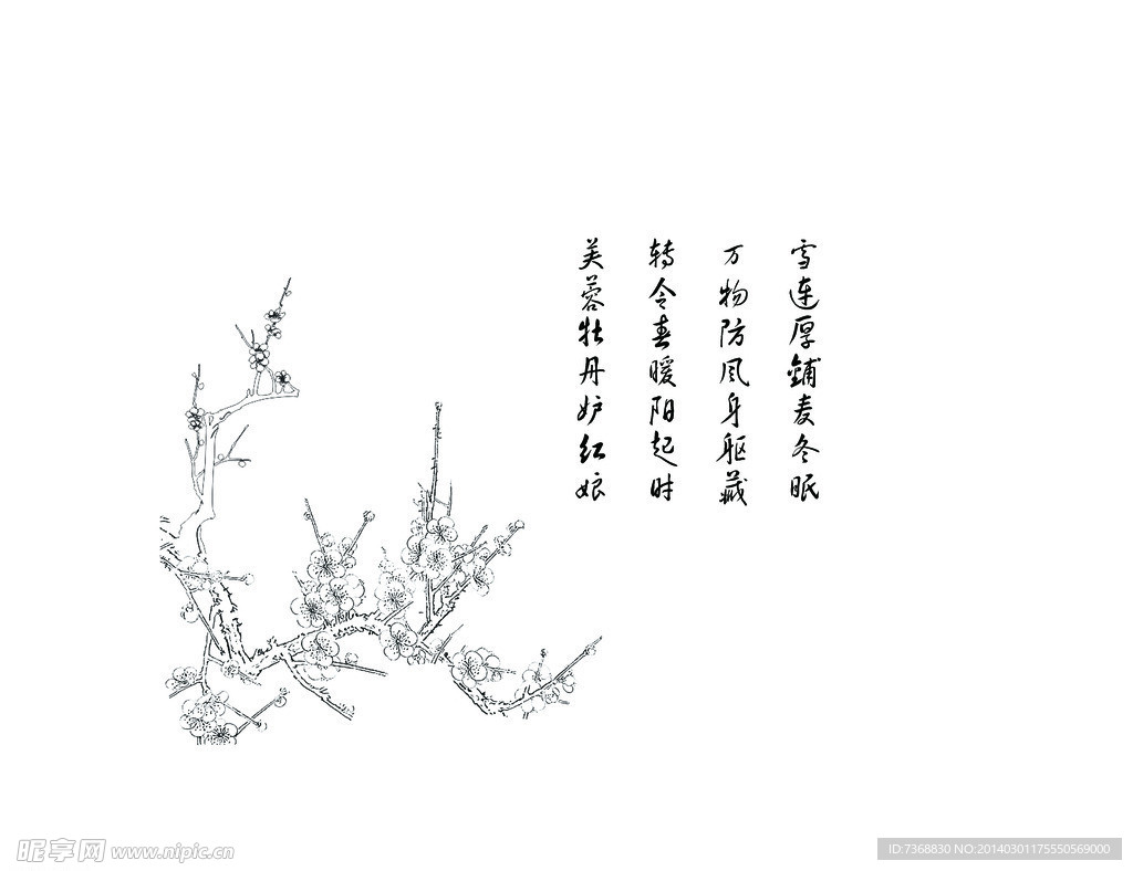梅花