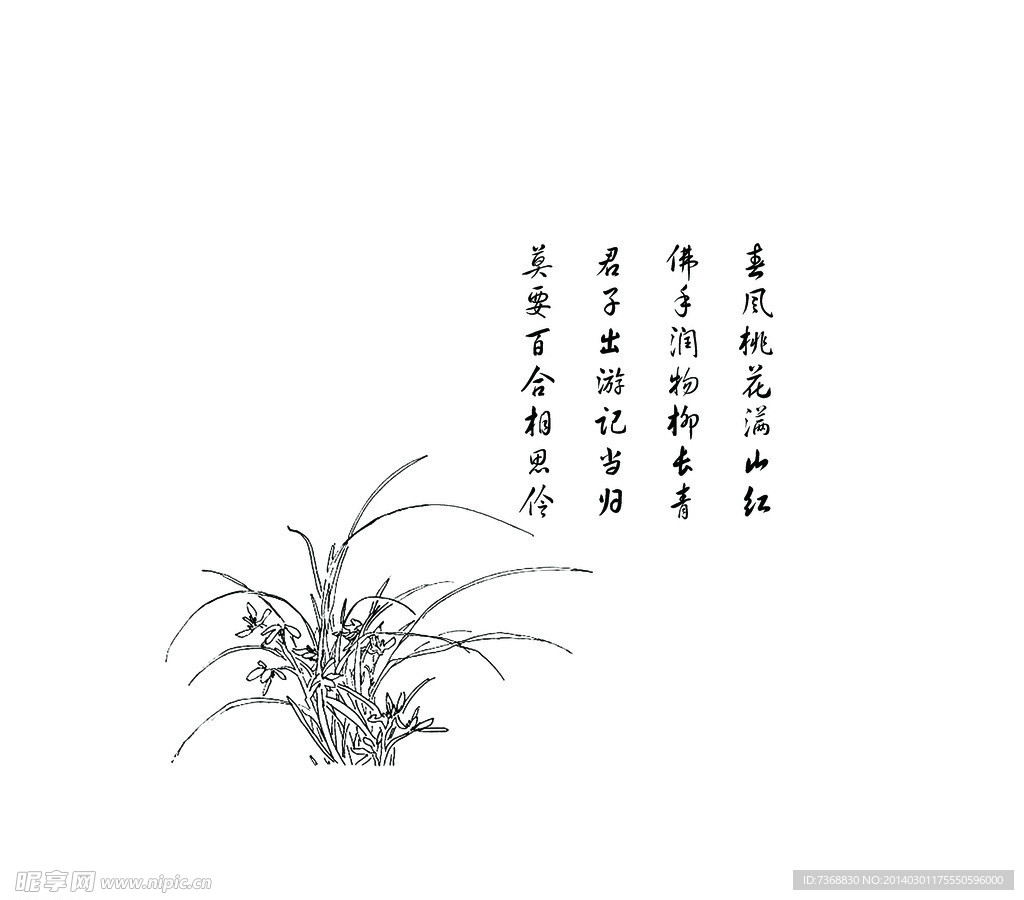 蘭花