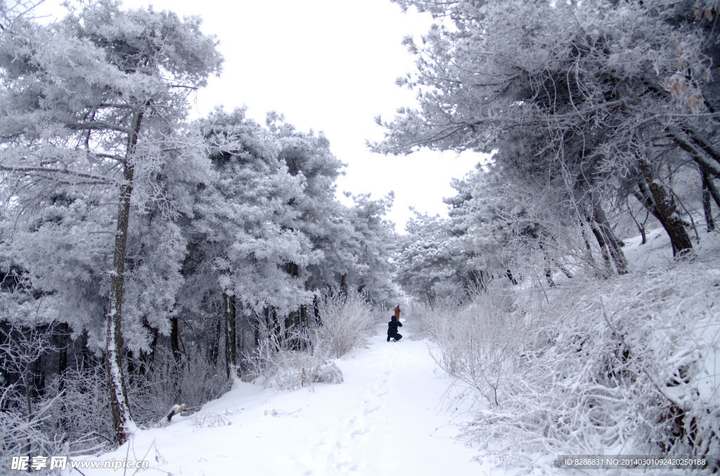 澠池韶山雪景