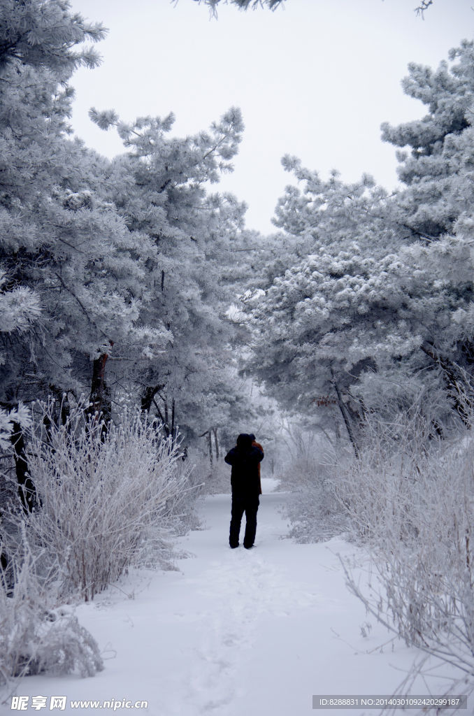 澠池韶山雪景