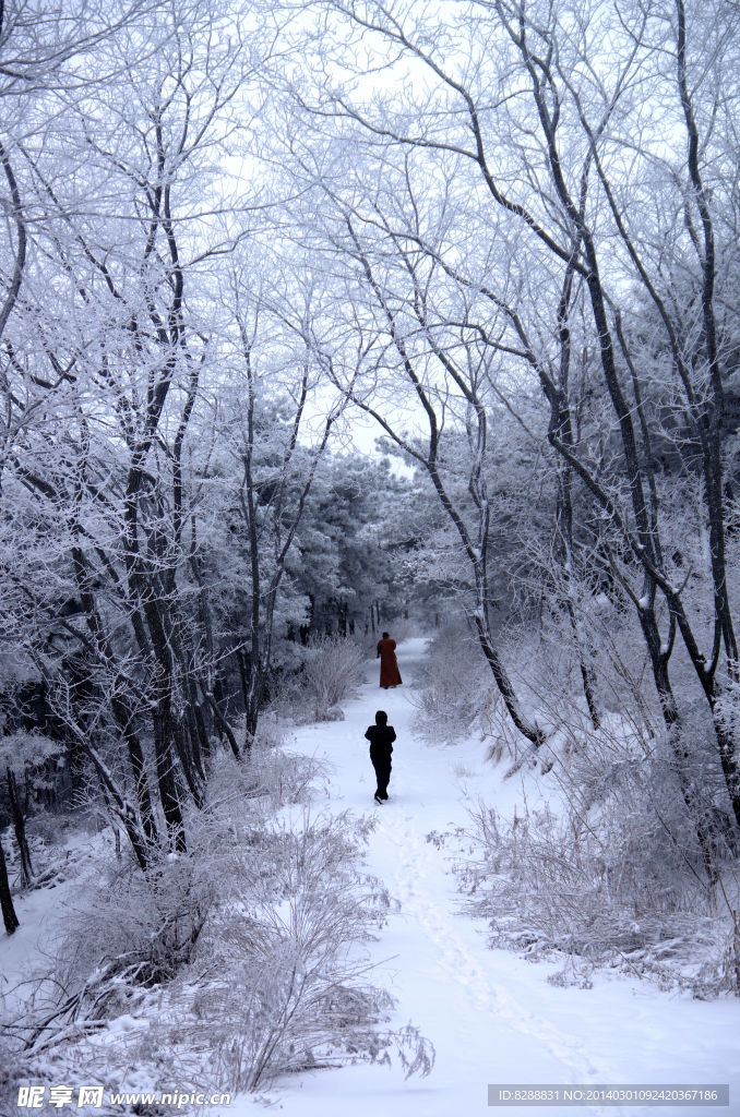 澠池韶山雪景