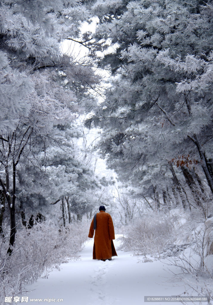 澠池韶山雪景