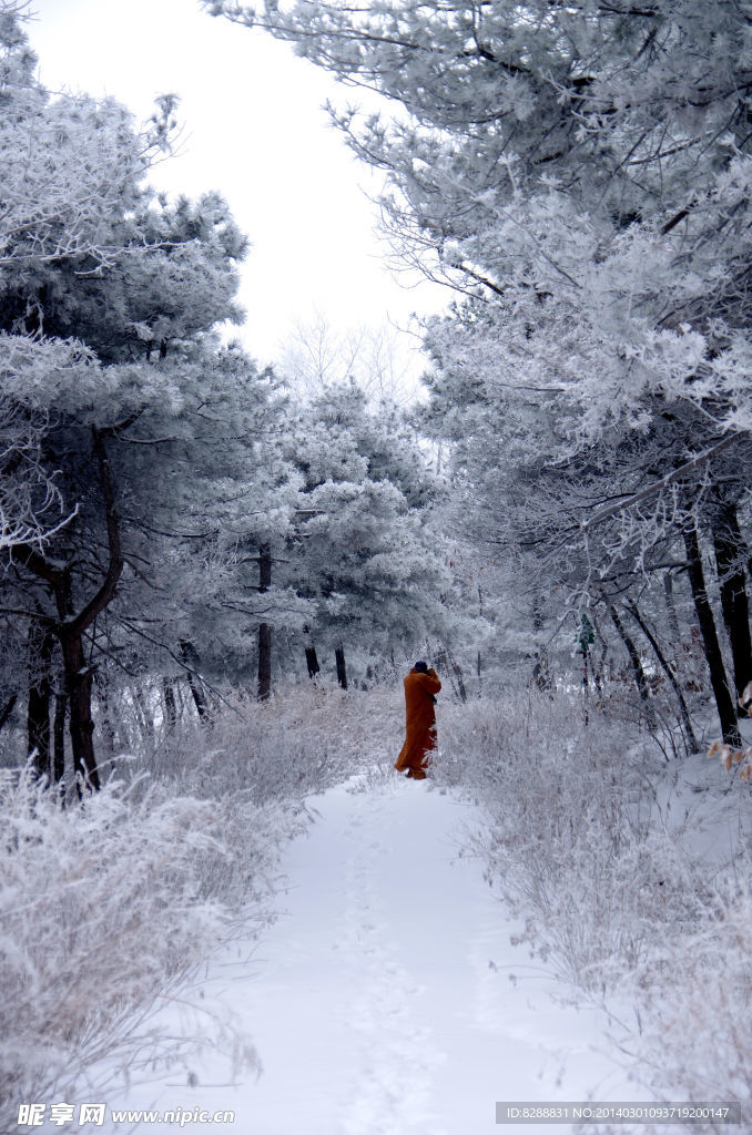澠池韶山雪景