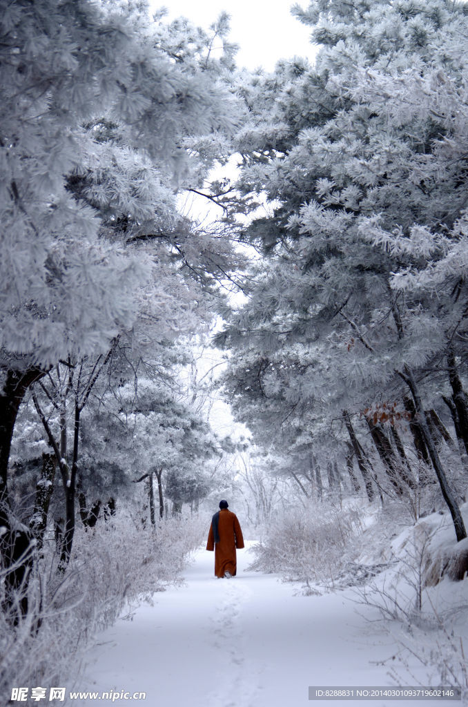 澠池韶山雪景