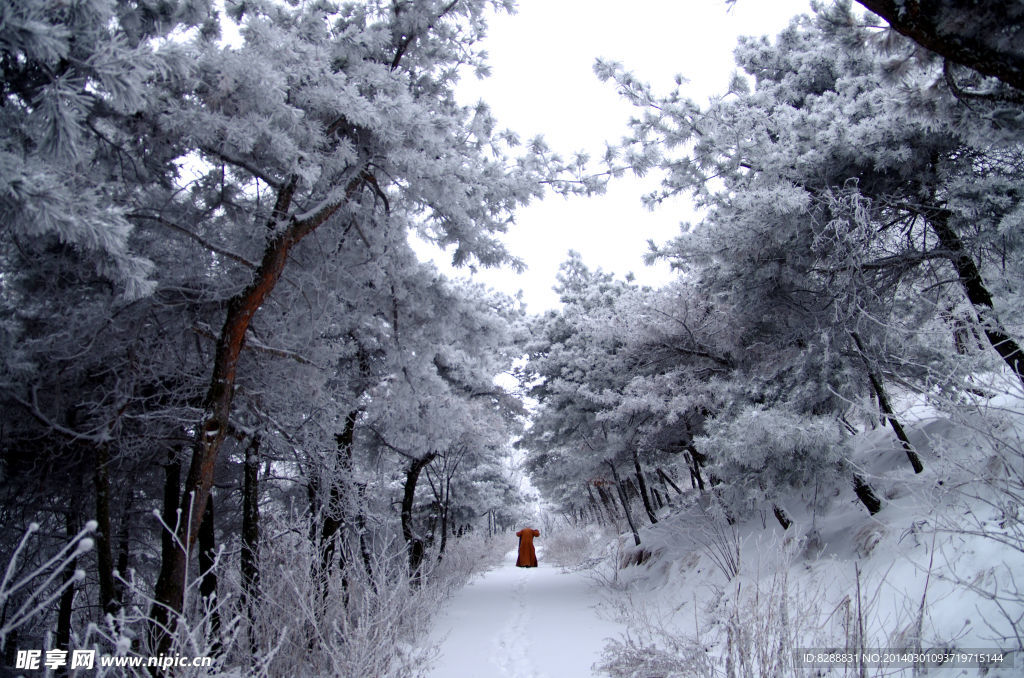 渑池韶山雪景