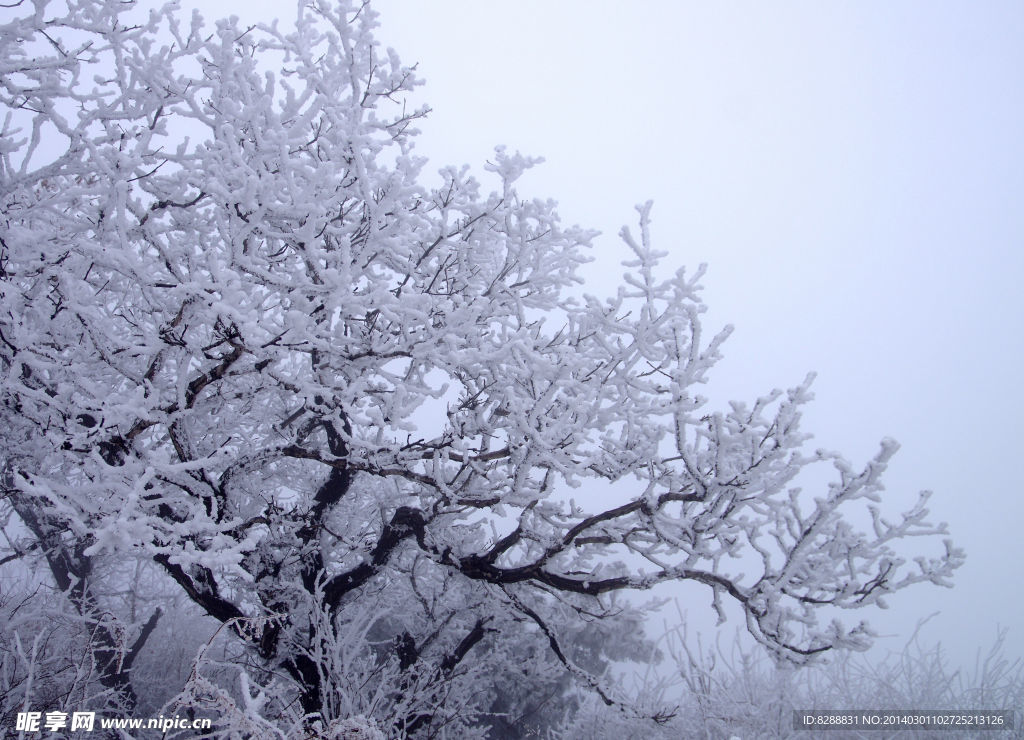 澠池韶山雪景