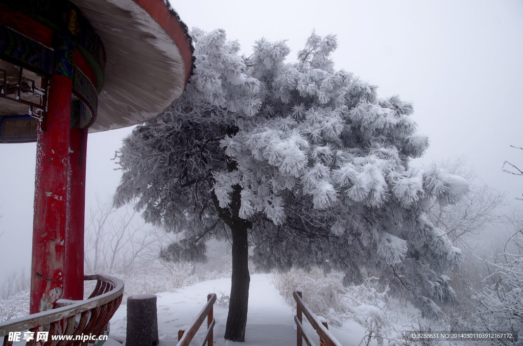 澠池韶山 雪 韶山雪