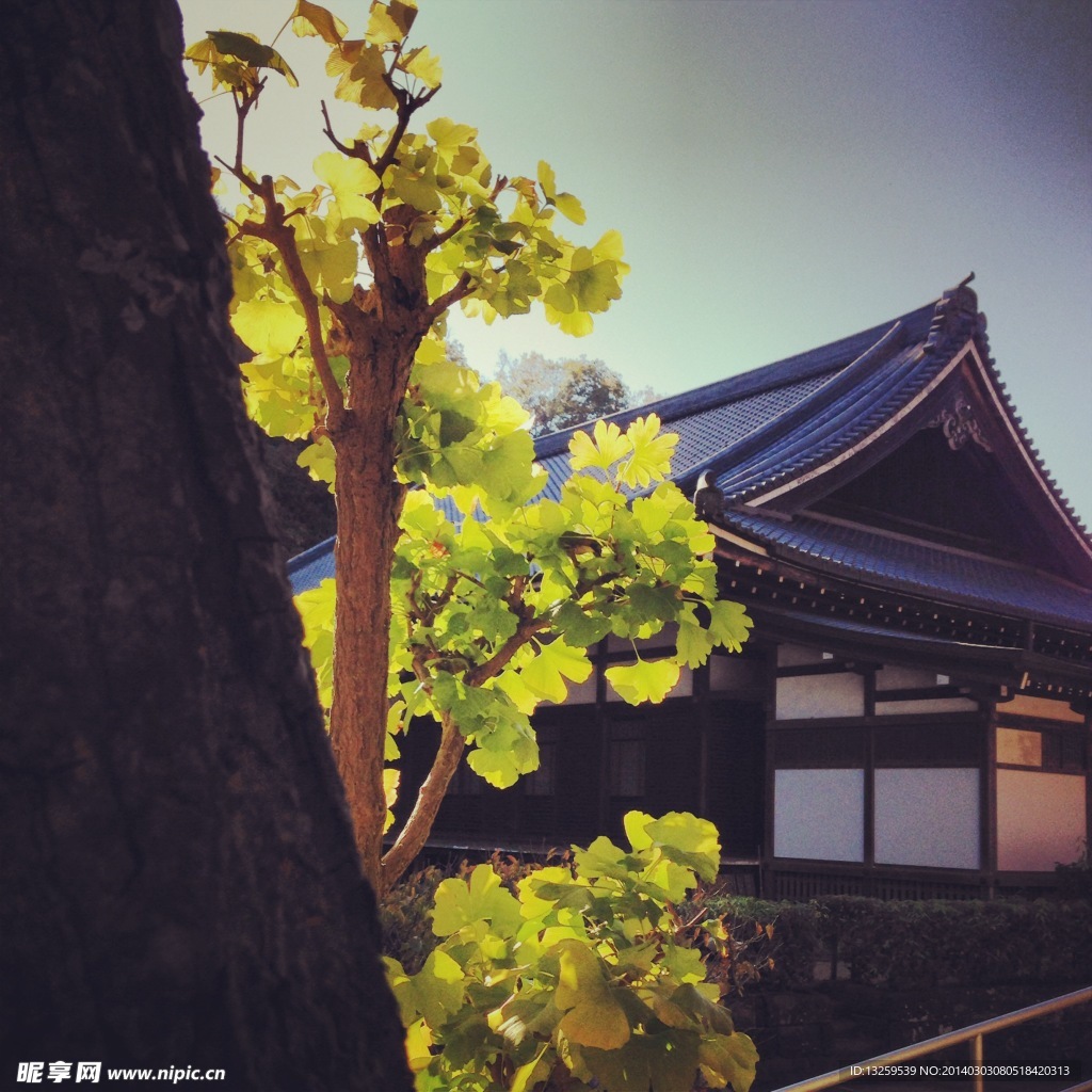 日本建筑