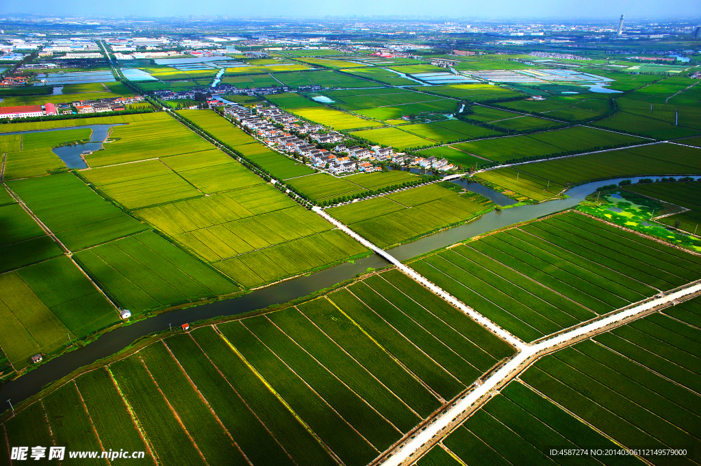 淀山湖田野