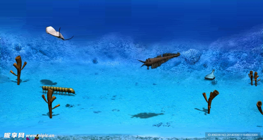 海洋生物