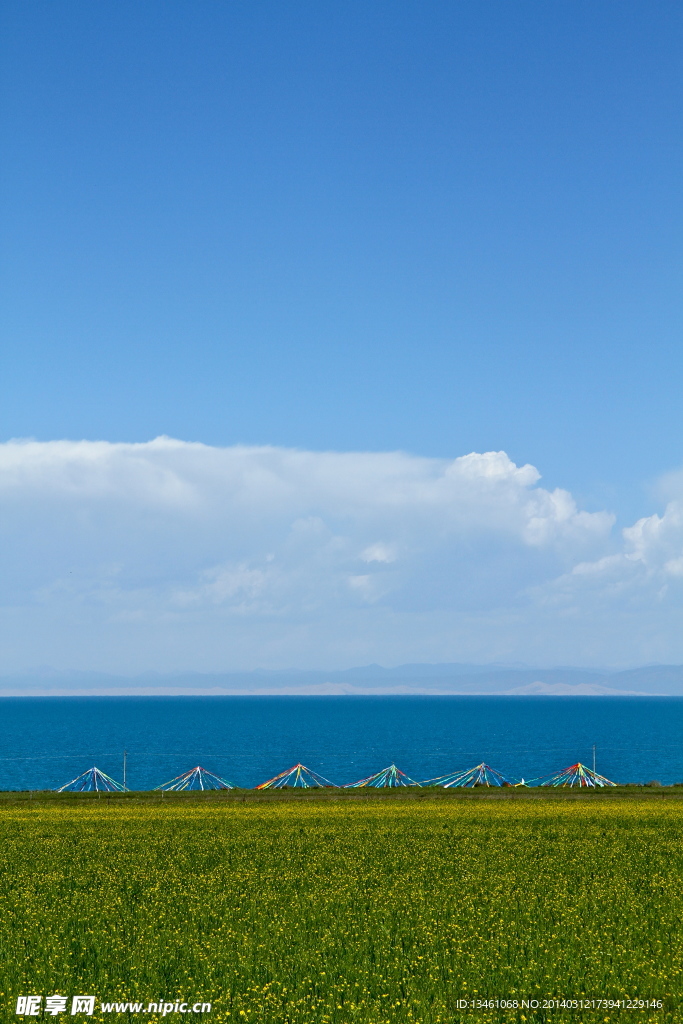 青海湖