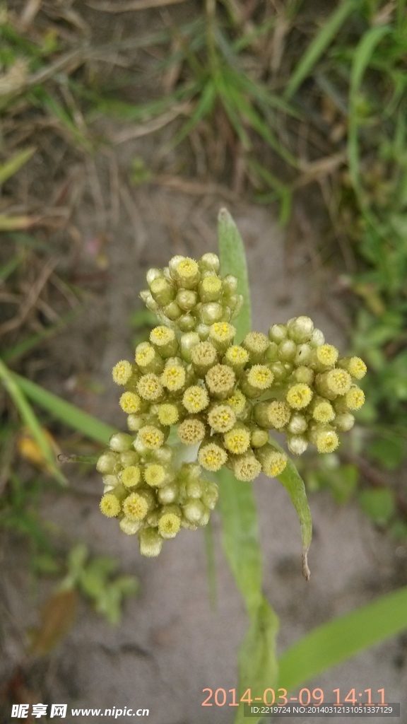 春暖花開