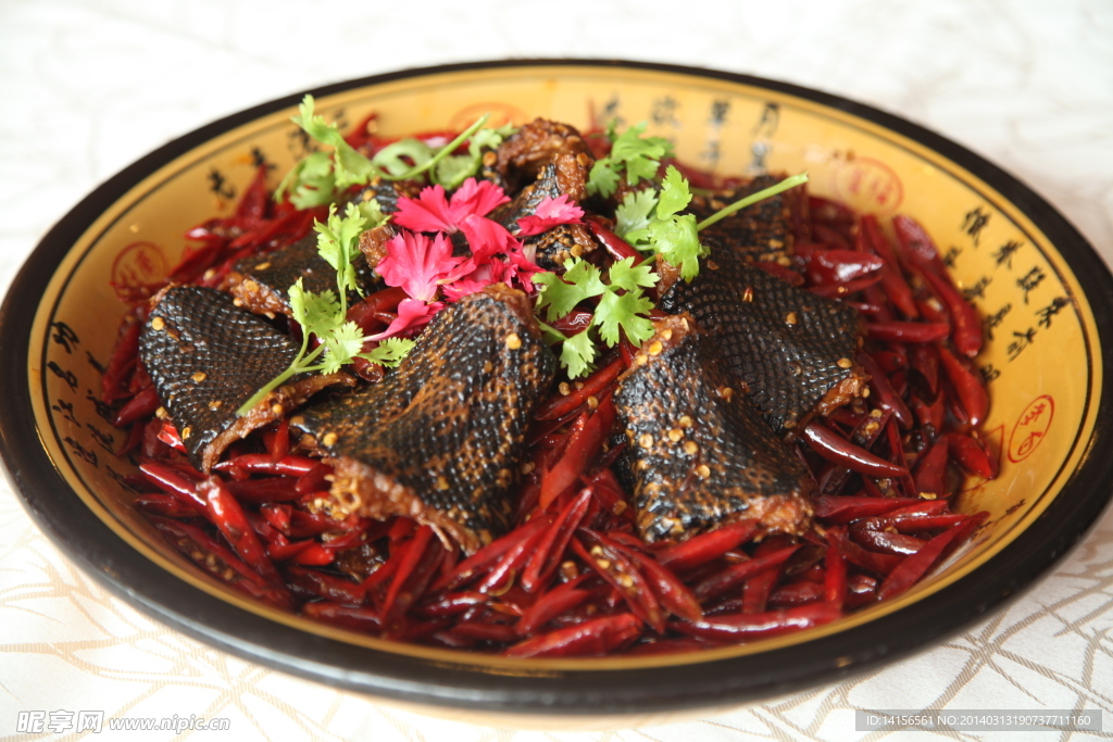 蛇肉