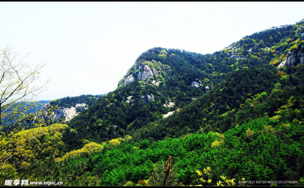 巨山