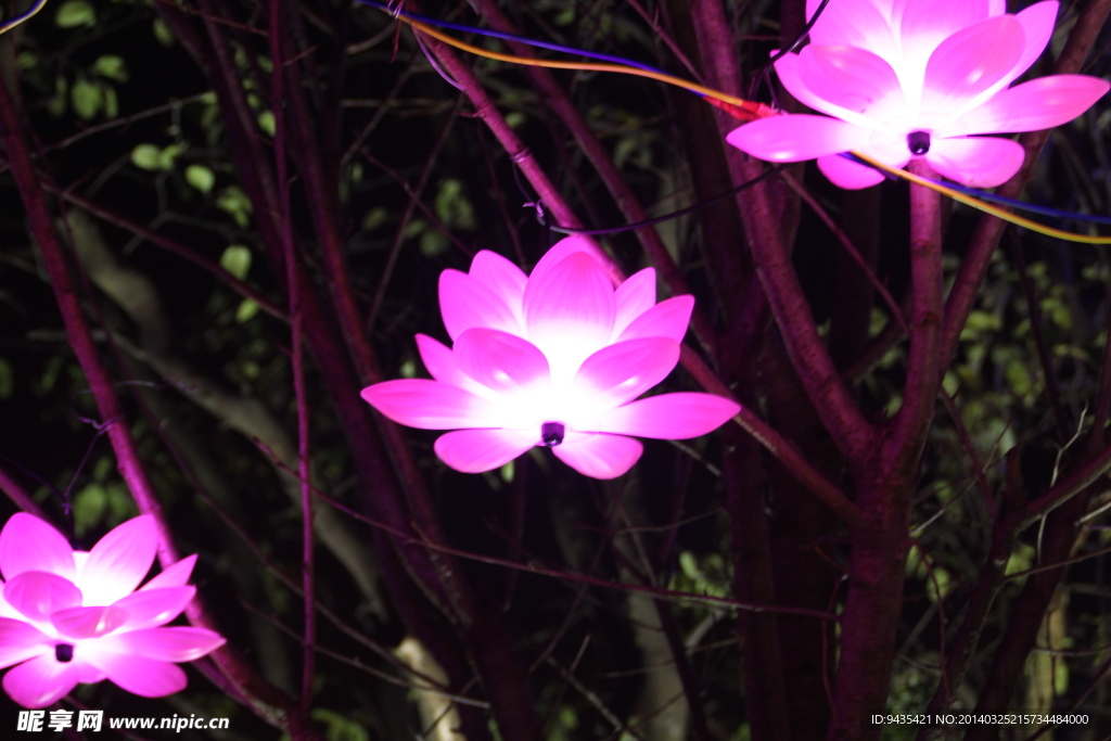 花燈