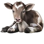 奶牛卡通动物设计动画