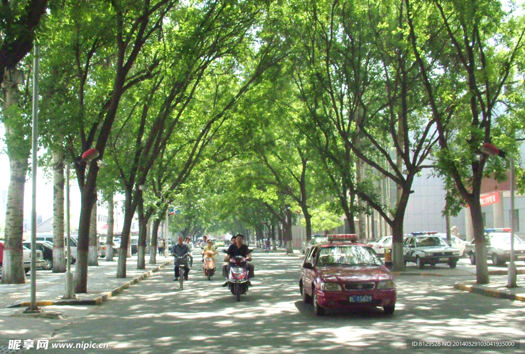 綠色市府路