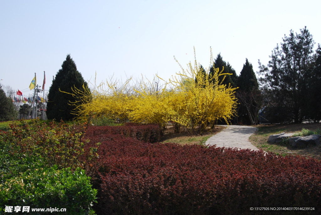 公園風(fēng)景