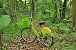 森林里的单车
