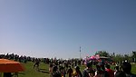 草莓音樂節