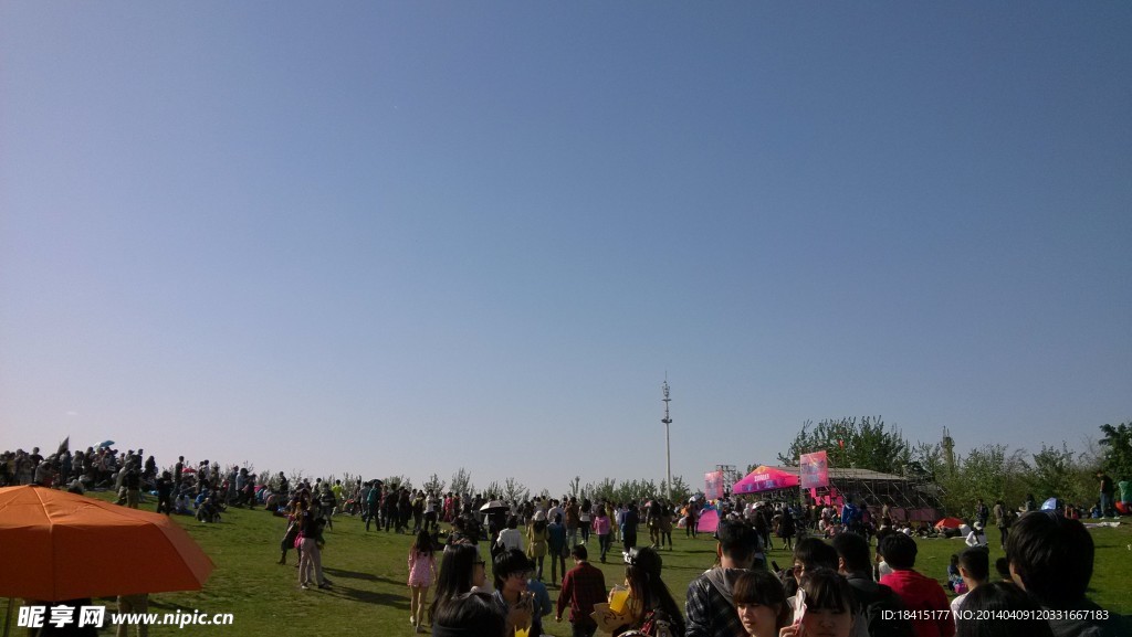草莓音樂節