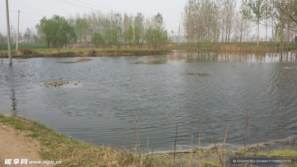 田園湖景