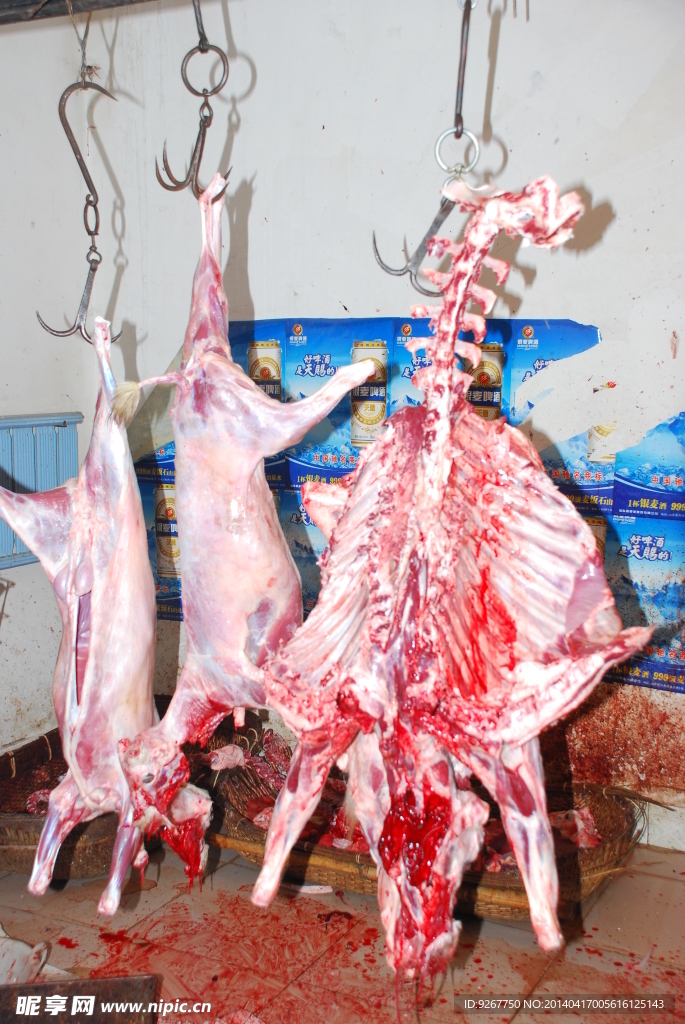 活羊現(xiàn)殺