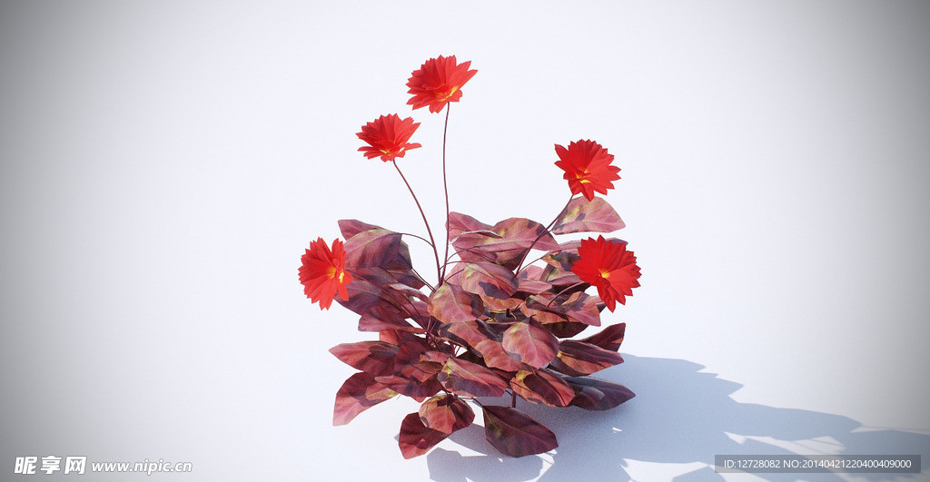 花模型