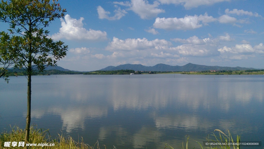 山水風景