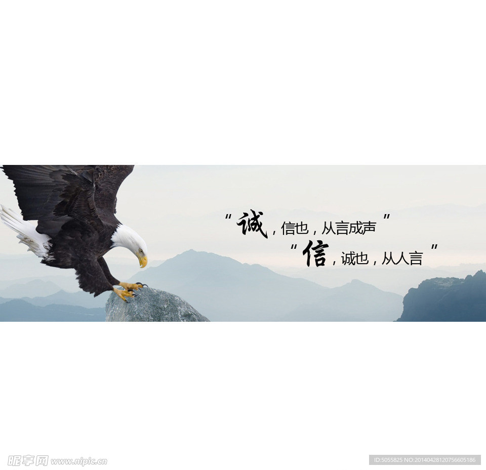 banner 大圖
