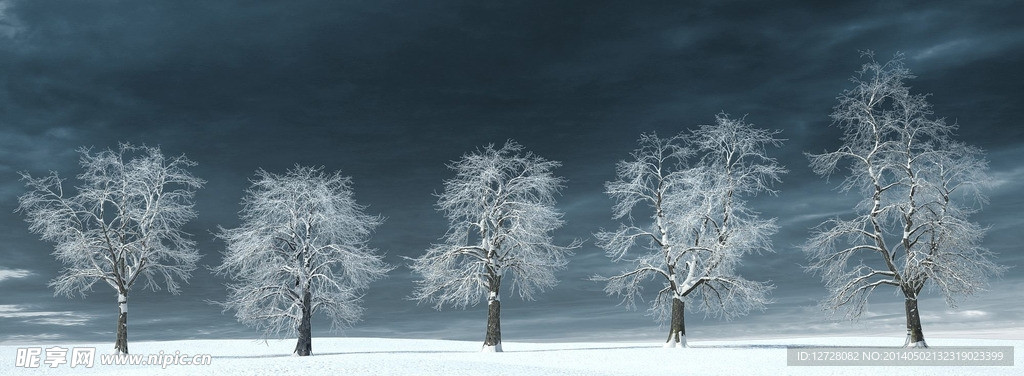 冬季树木