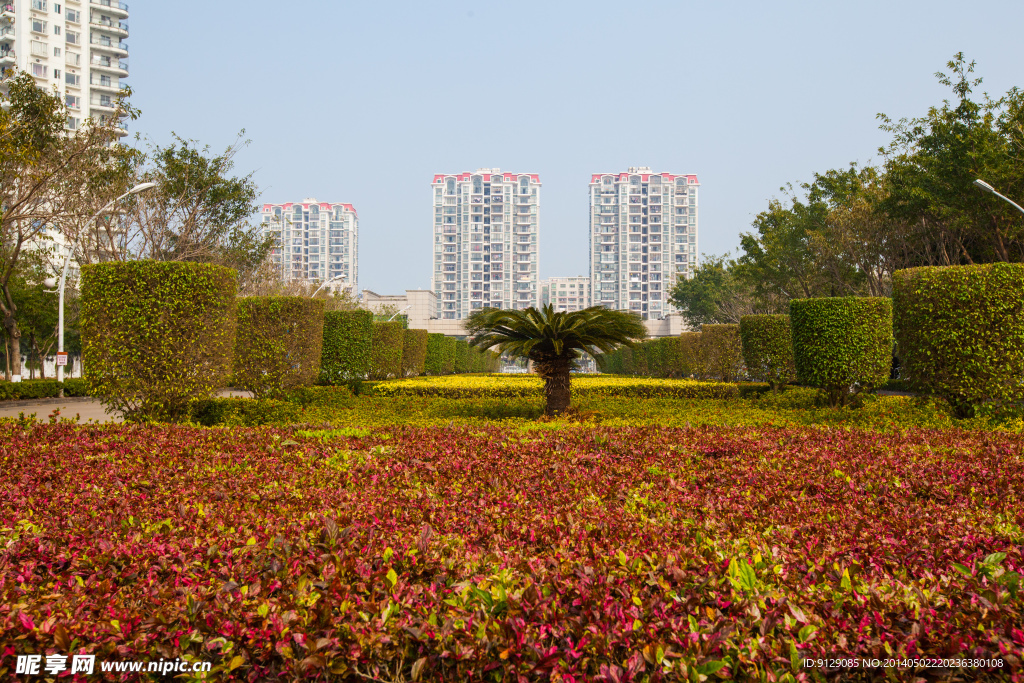 海南大學