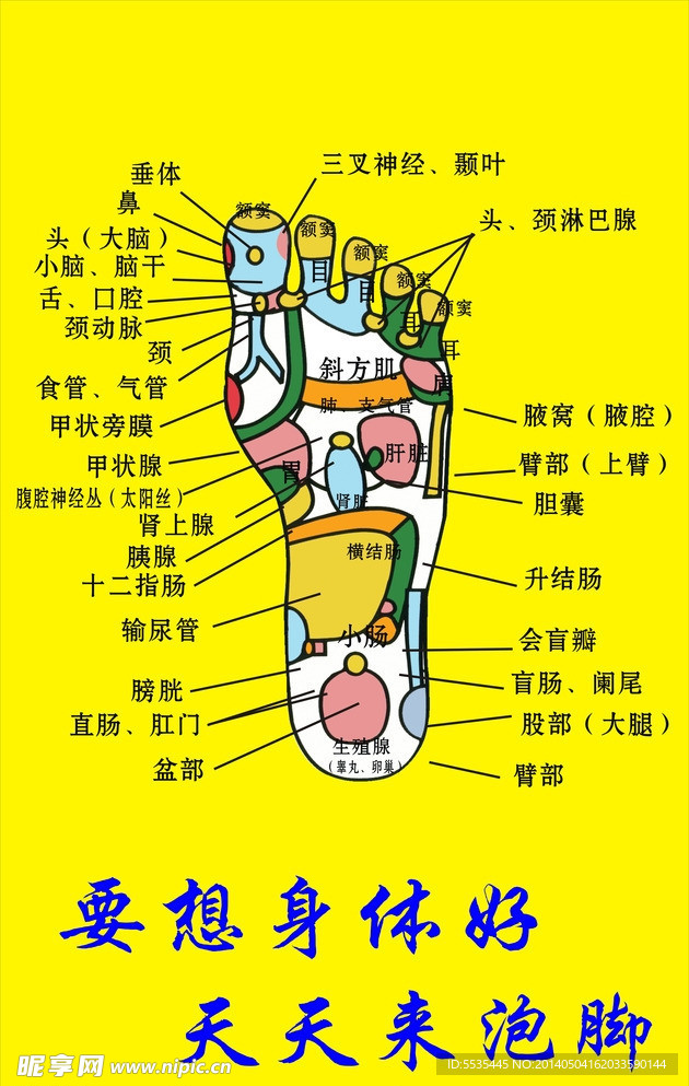 足穴位圖