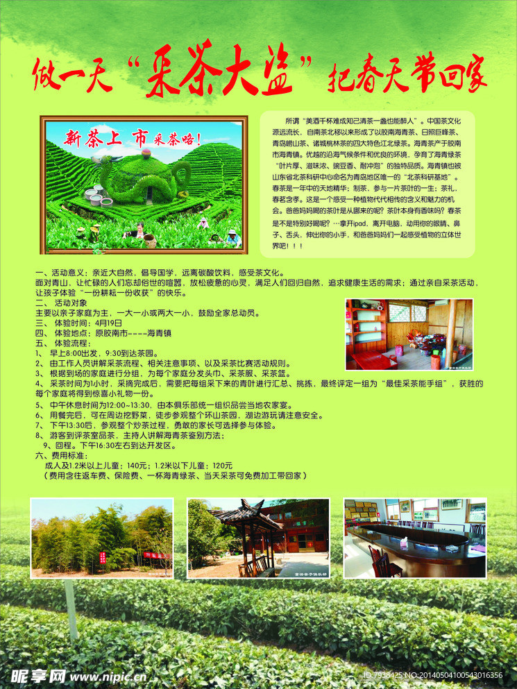 采茶 綠茶