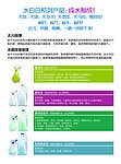 水白白 產(chǎn)品